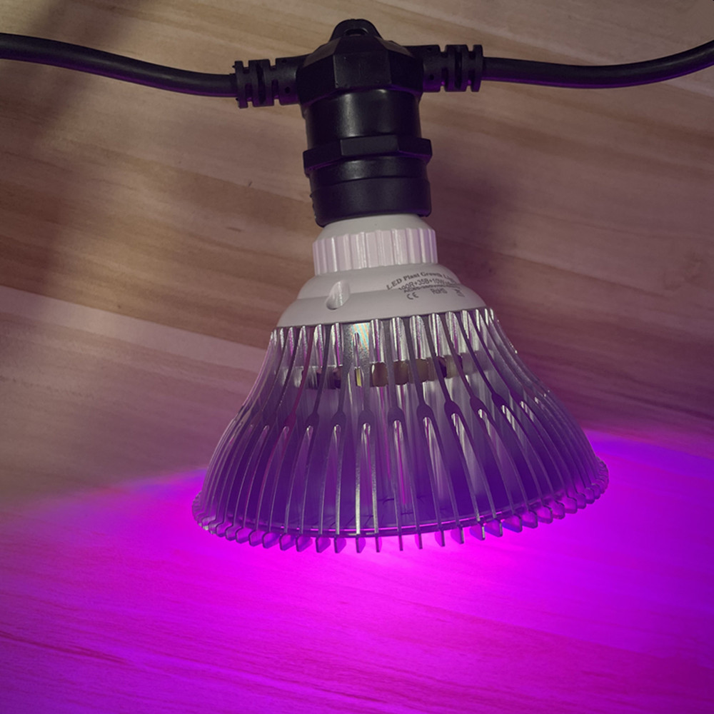 سلسلة إضاءة LED بطول 10 أمتار، - مراجعة Bollard Light Garden وسعره